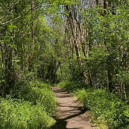 Ostalon De Senegats * Lacaze