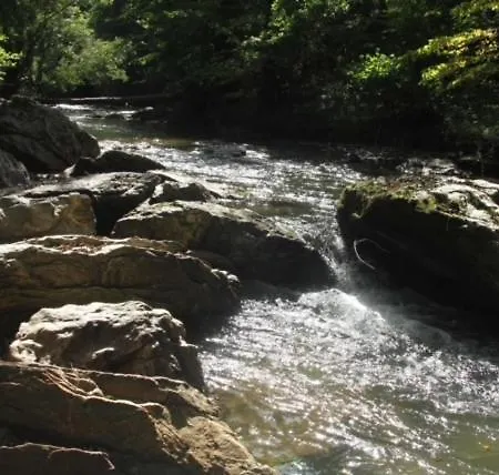 Ostalon De Senegats Lacaze