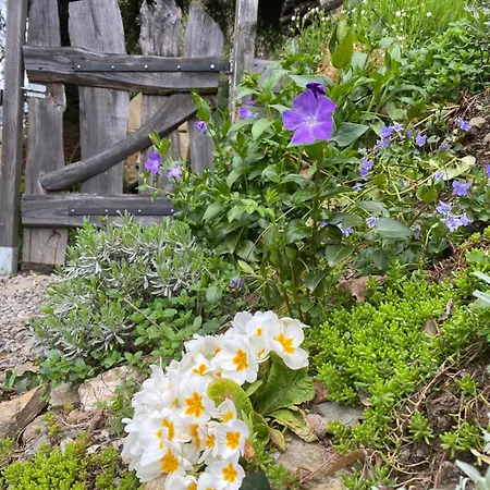 Holiday home Ostalon De Senegats Lacaze