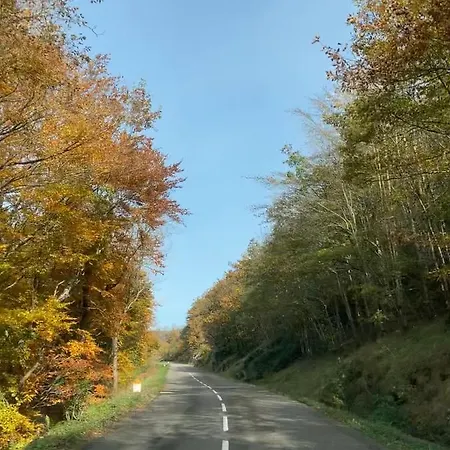 Ostalon De Senegats