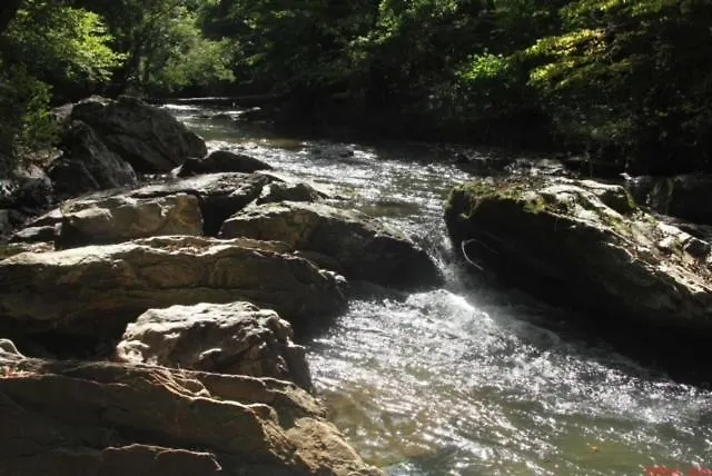 Ostalon De Sénégats Lacaze