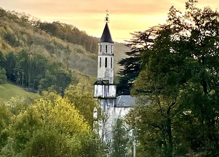 Ostalon De Sénégats * Lacaze