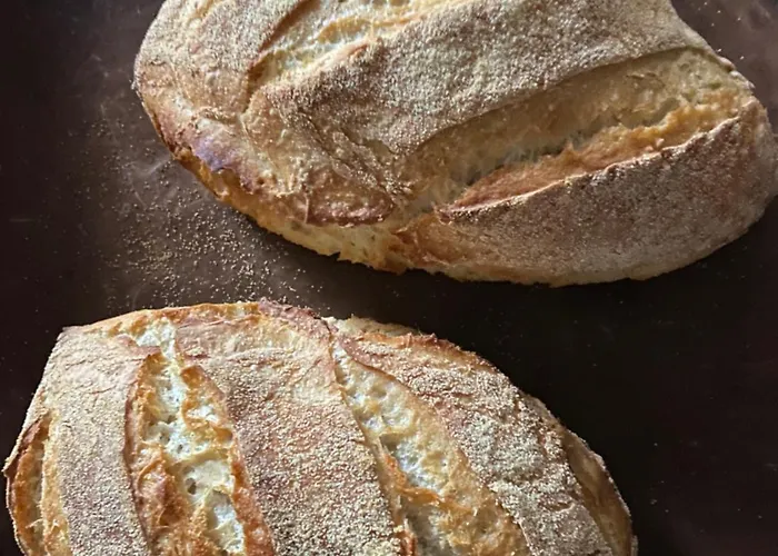 Ostalon De Sénégats * Lacaze