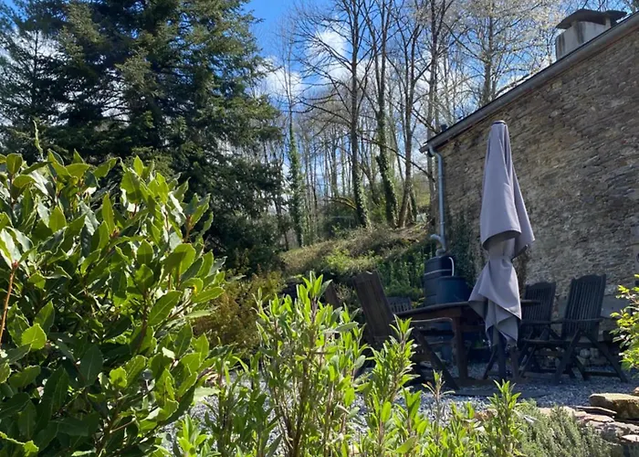 Ostalon De Sénégats