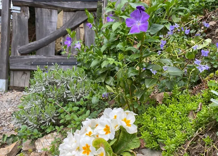 Hébergement de vacances Ostalon De Sénégats Lacaze