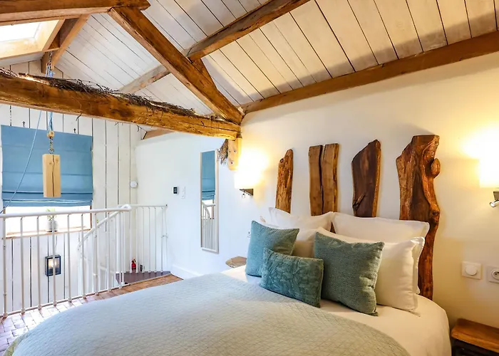 Ostalon De Sénégats *