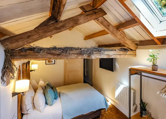 Ostalon De Sénégats Lacaze